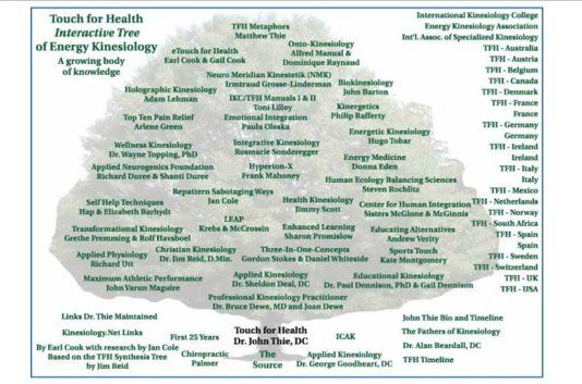 touch for health interactive tree touch for health interactive tree