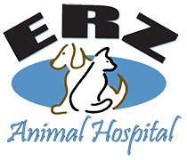 Erz Animal Hospital