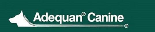 Adequan Canine Adequan Canine