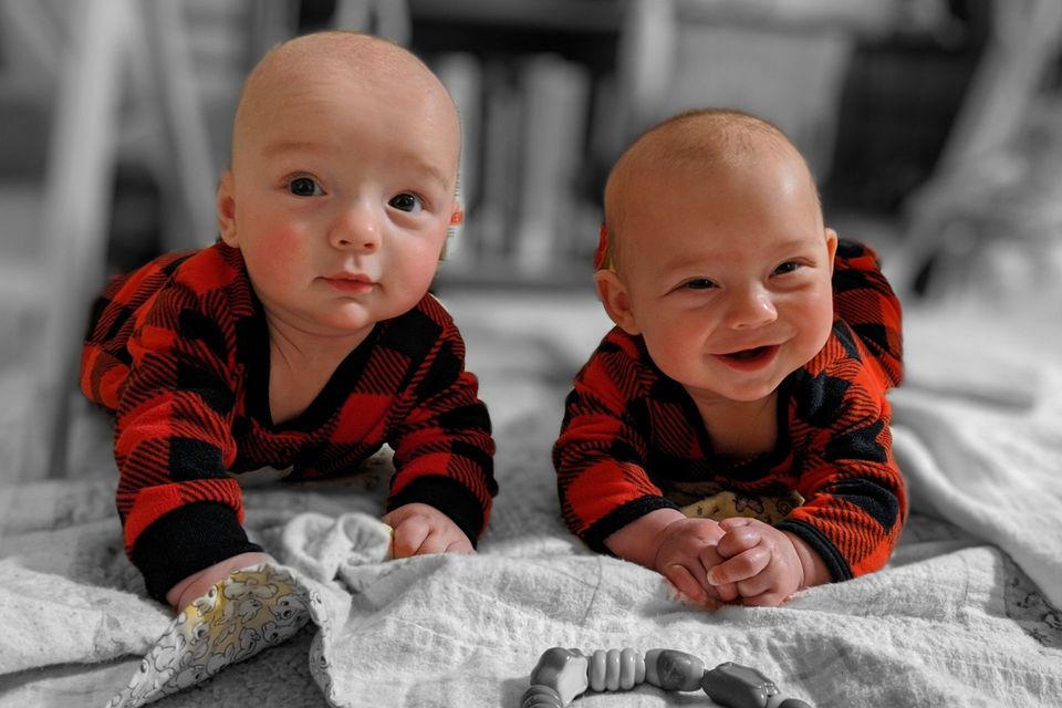 Image of Quinton's babies