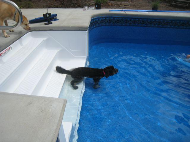 New Swimming Pool Pensacola, FL