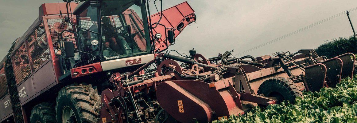 A red beet harvester machine works in a green field under a cloudy sky.