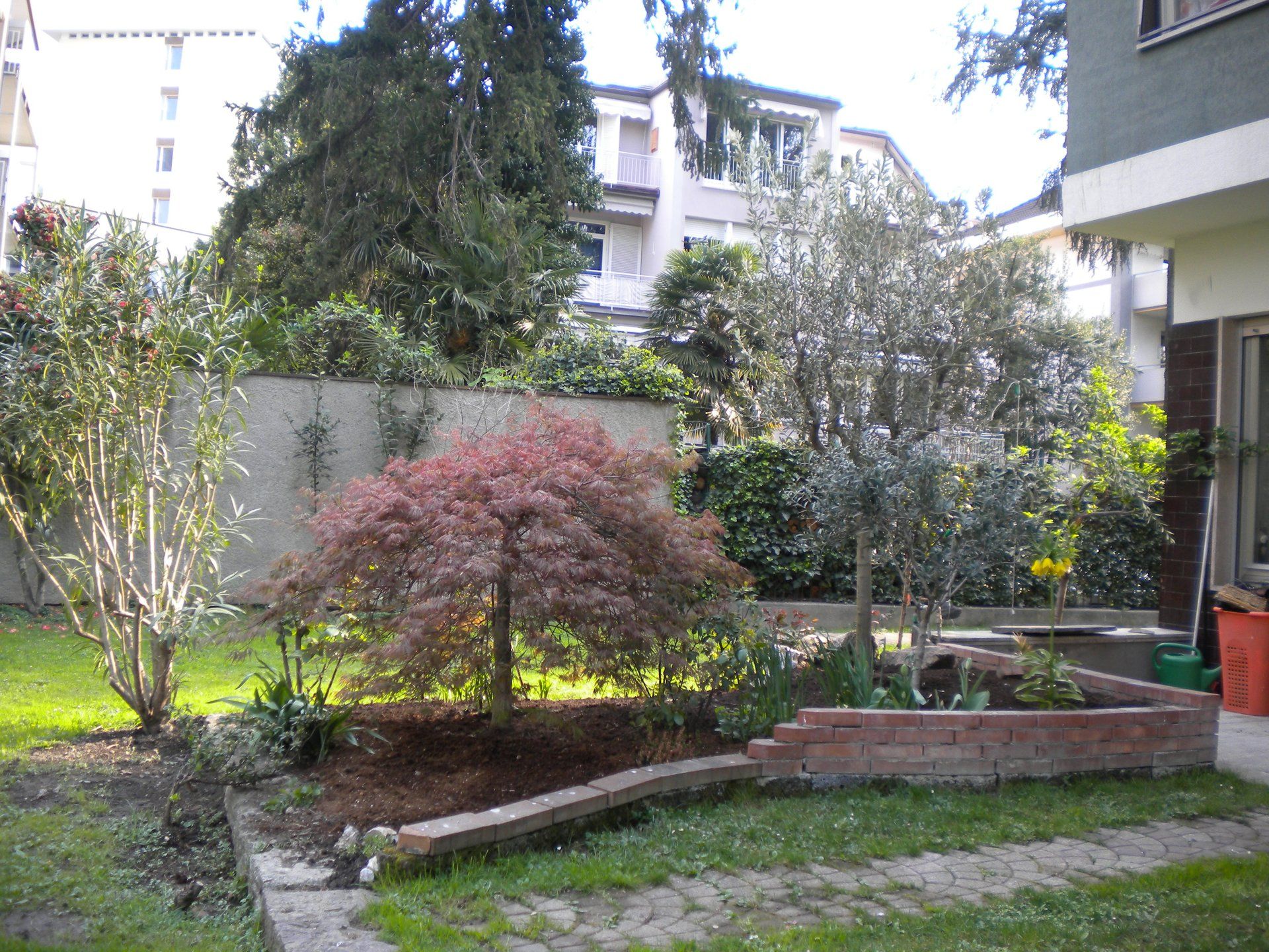 giardino