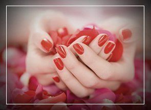 Rose petals