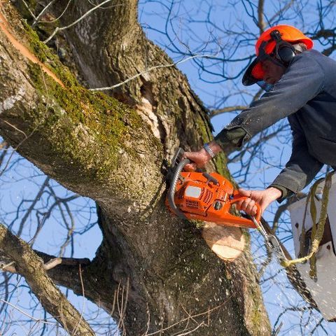 tree reduction