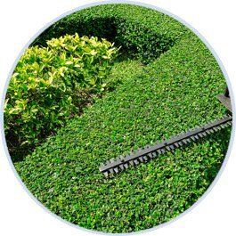 garden maintenance