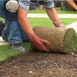 turf removal