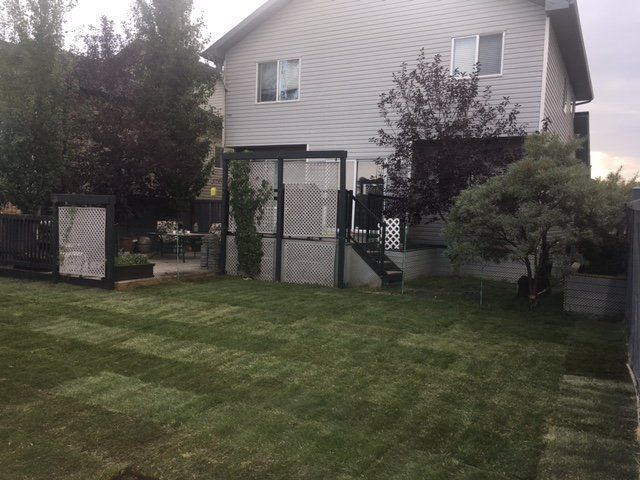 sod installation