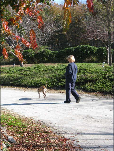 Guy Walking His Dog — Maiden, NC — Howl-A-Day Inn Resort