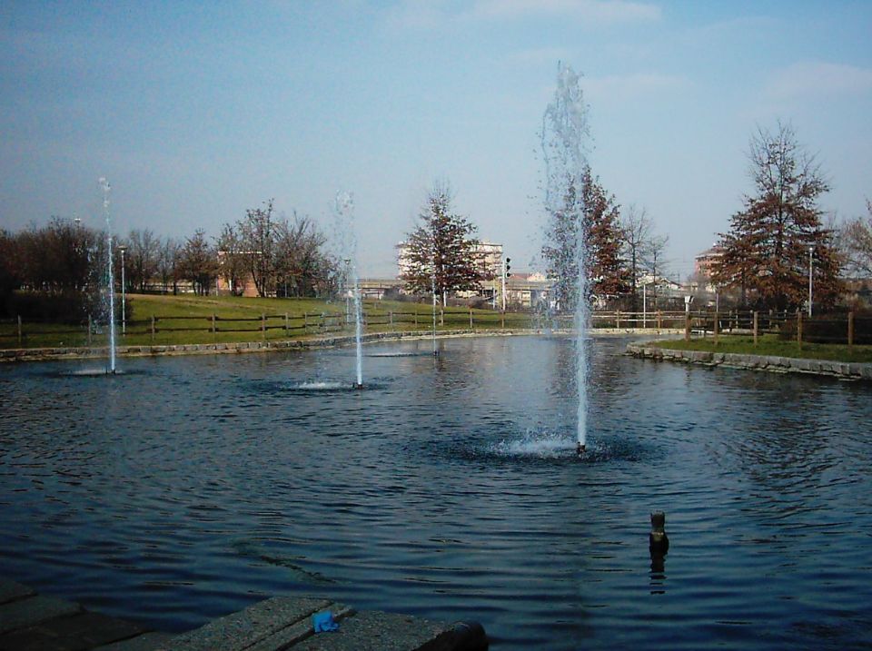 giochi d'acqua per laghetto