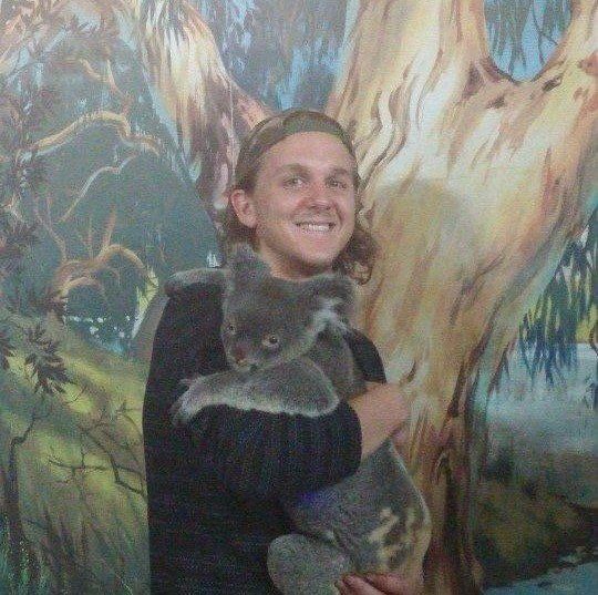 A man is holding a koala bear in front of a tree