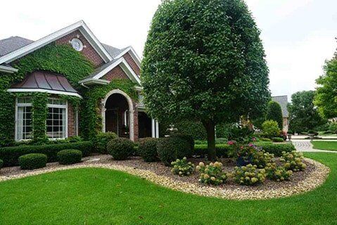 Beautiful Lawn Beautiful Lawn