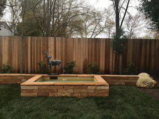 Outdoor Pond - Winters, CA - NC Foliage & Landscaping Outdoor Pond - Winters, CA - NC Foliage & Landscaping