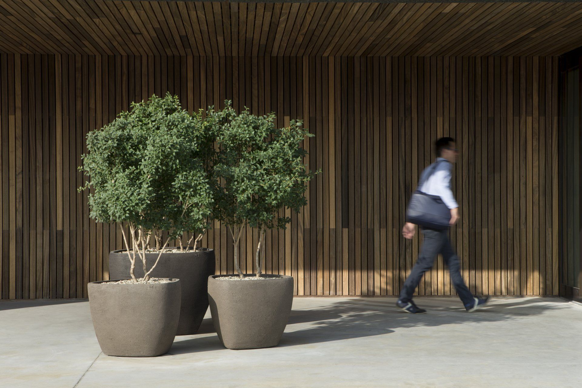Person walking past potted trees against a wood-slat wall in a bright modern courtyard