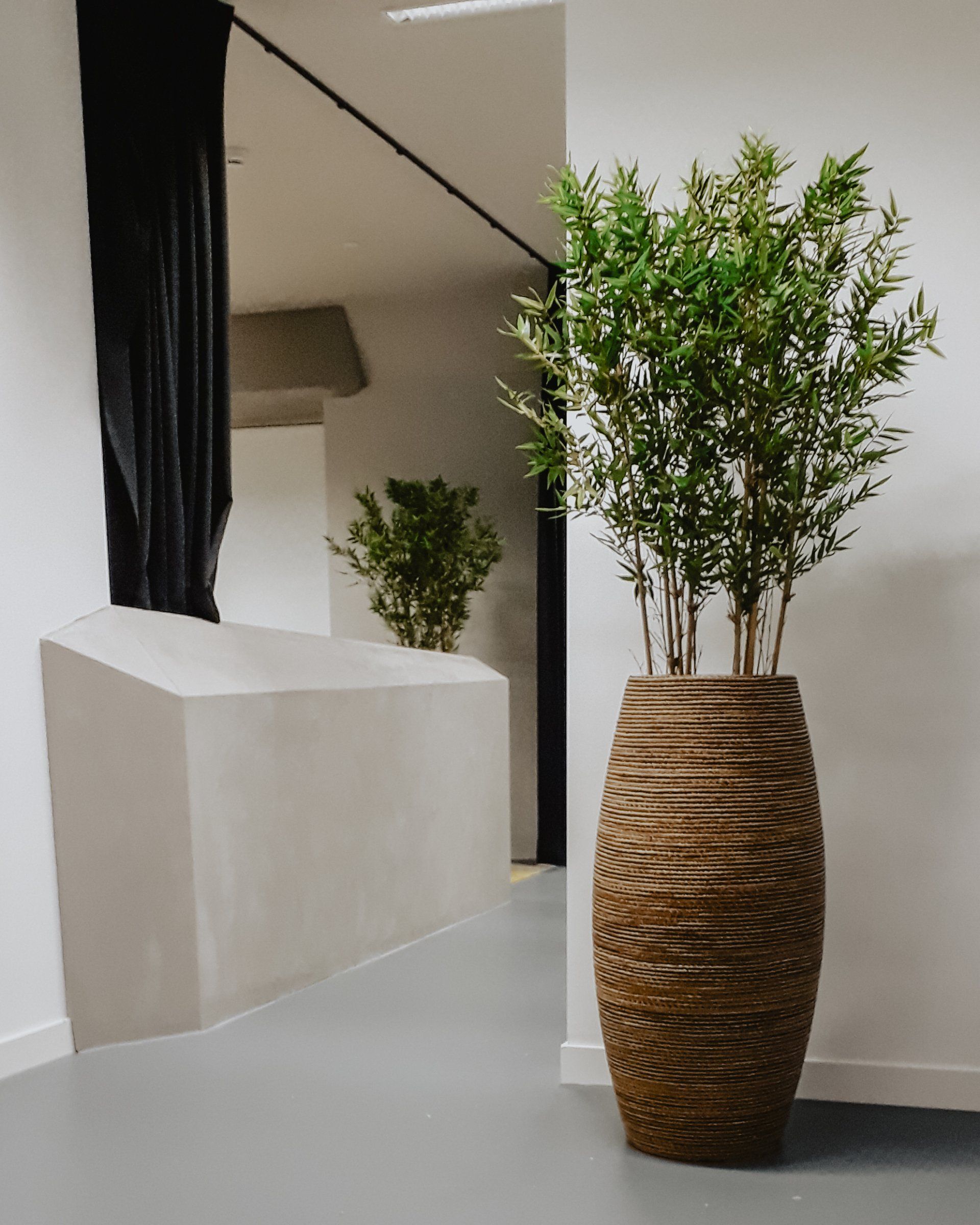 Hallway with a tall woven planter holding green plants beside a white wall and black curtain