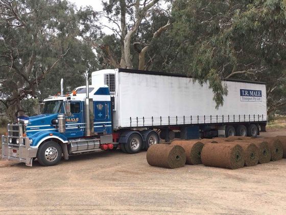 Commercial Trucks