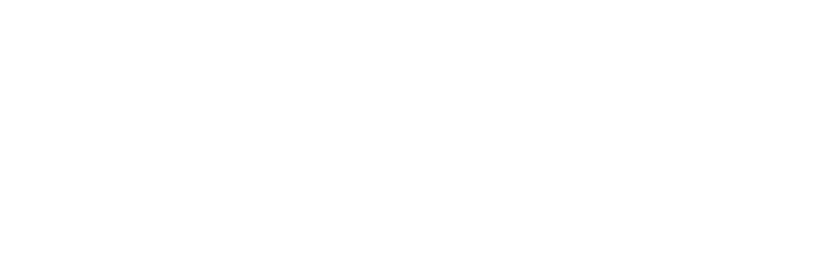 American Property Solutions Logo