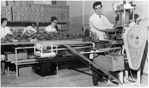 Lio Borghesi at the pasta machine