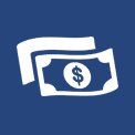 paycheck icon 