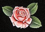 pink rose engraved
