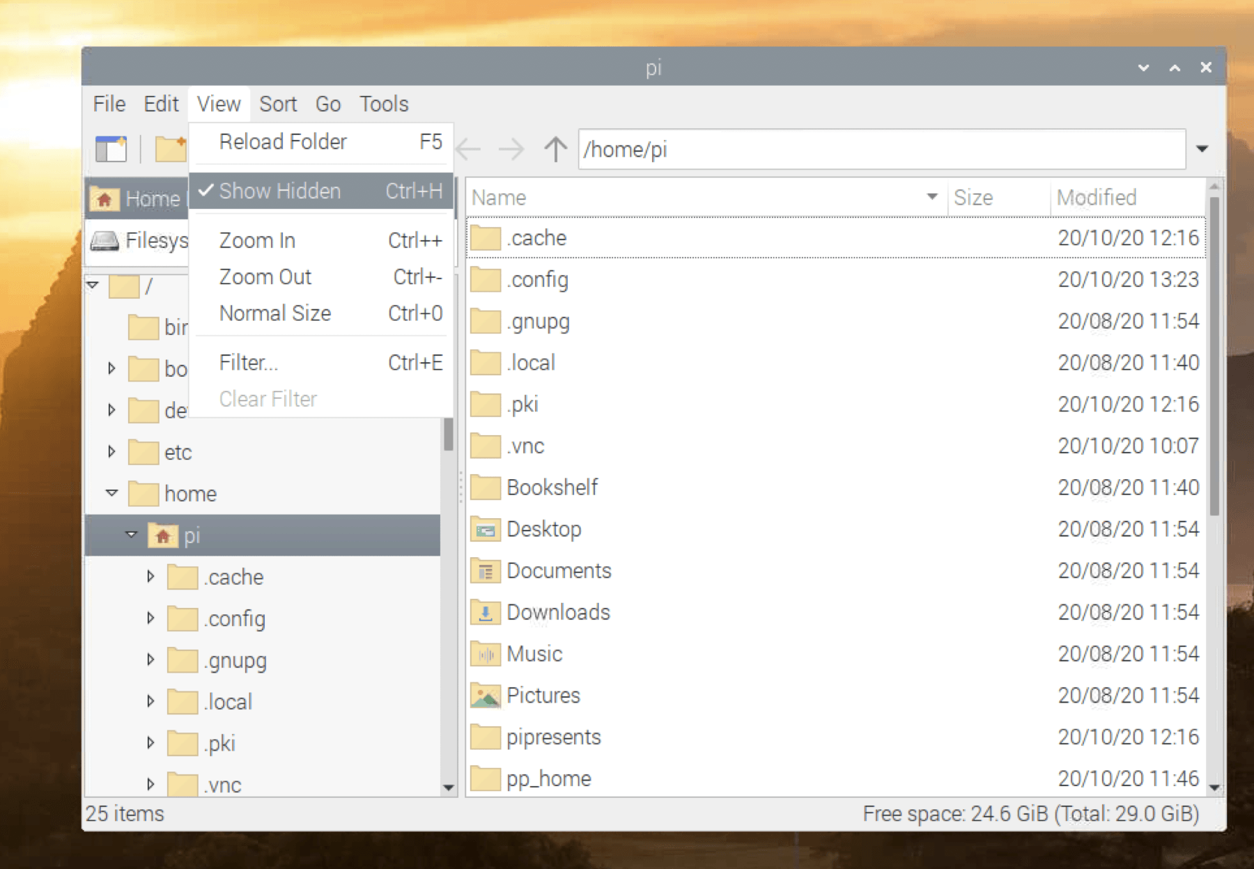 File manager window on a desktop, showing a dropdown menu open with view options like icons, list, and details.