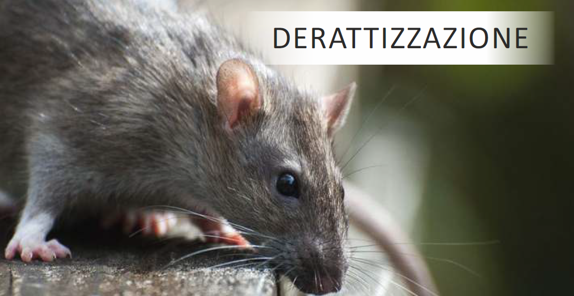 Un intervento di disinfestazione