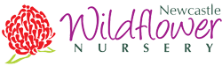 Newcastle Wildflower Nursery Newcastle Wildflower Nursery