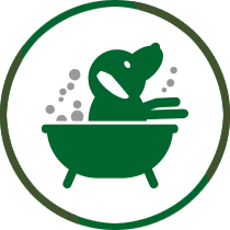 icon of dog grooming