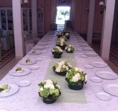 fiori finti, piante finte