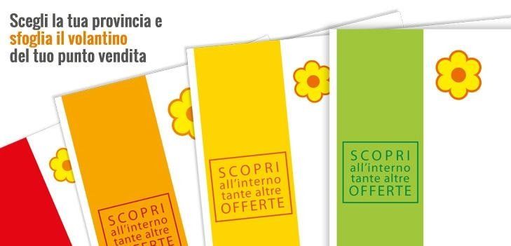 Volantino promozionale Conad