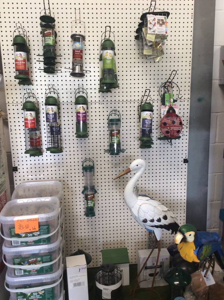pet accessories
