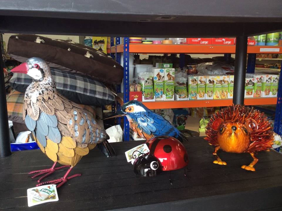 pet props