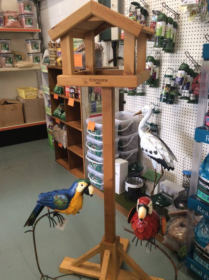 pet store