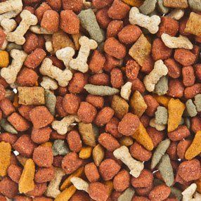 dog food