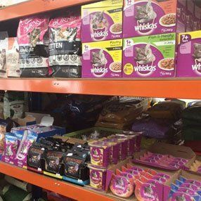cat food