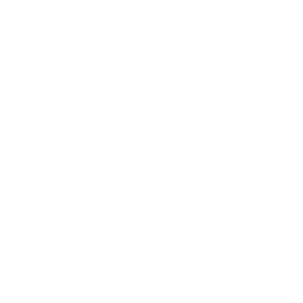 call icon