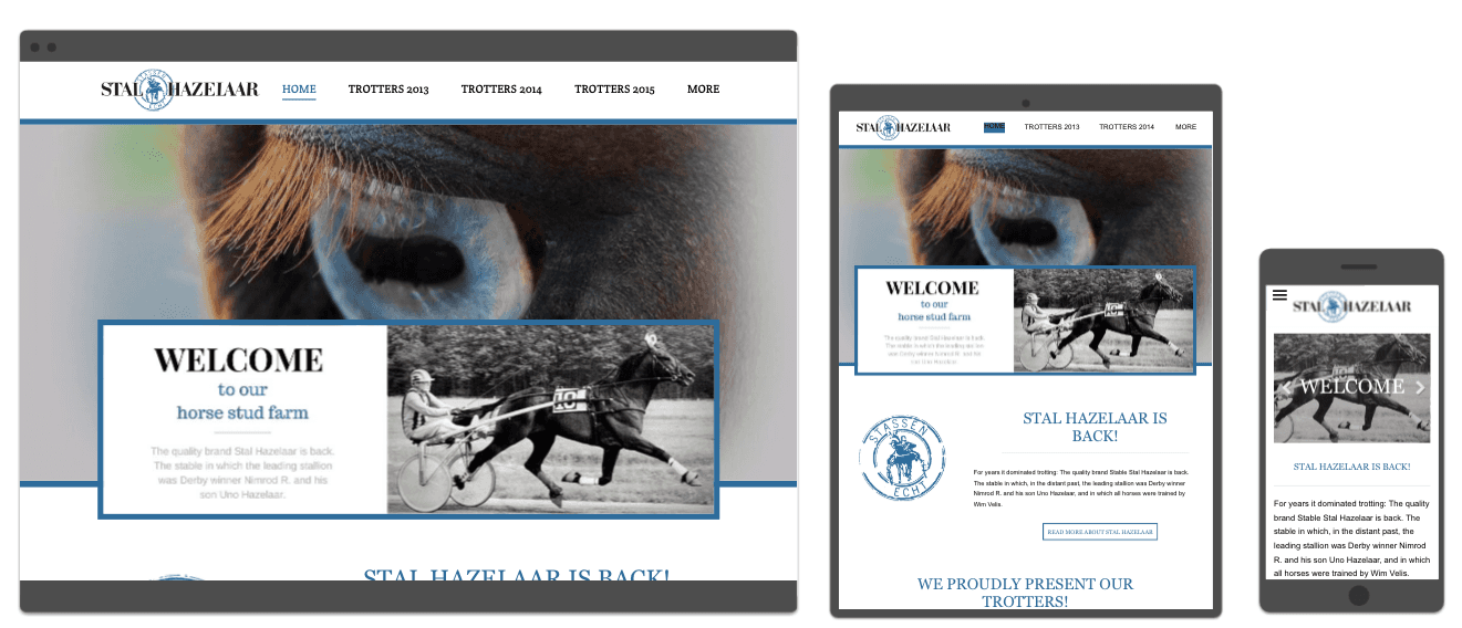 Webvizi Webdesign Lanaken, Maastricht