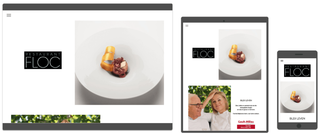 Webvizi Webdesign Lanaken, Maastricht