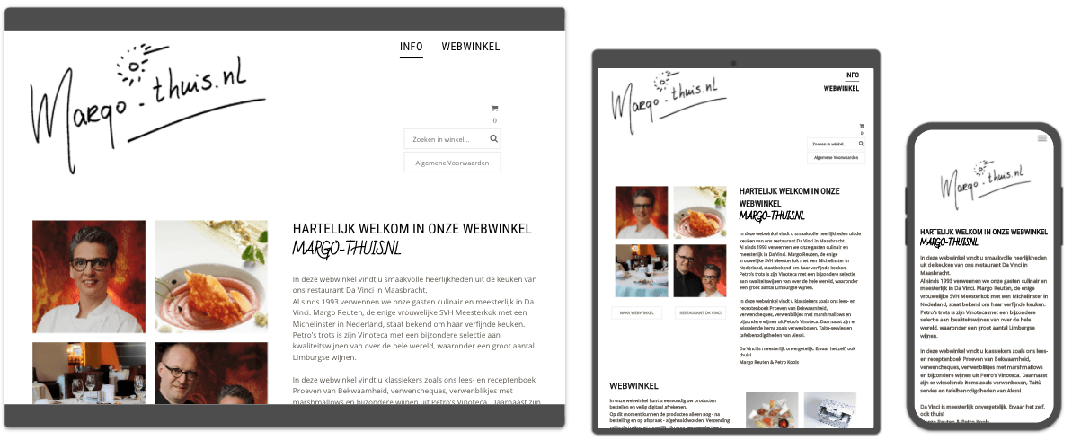 Webvizi Webdesign Lanaken, Maastricht