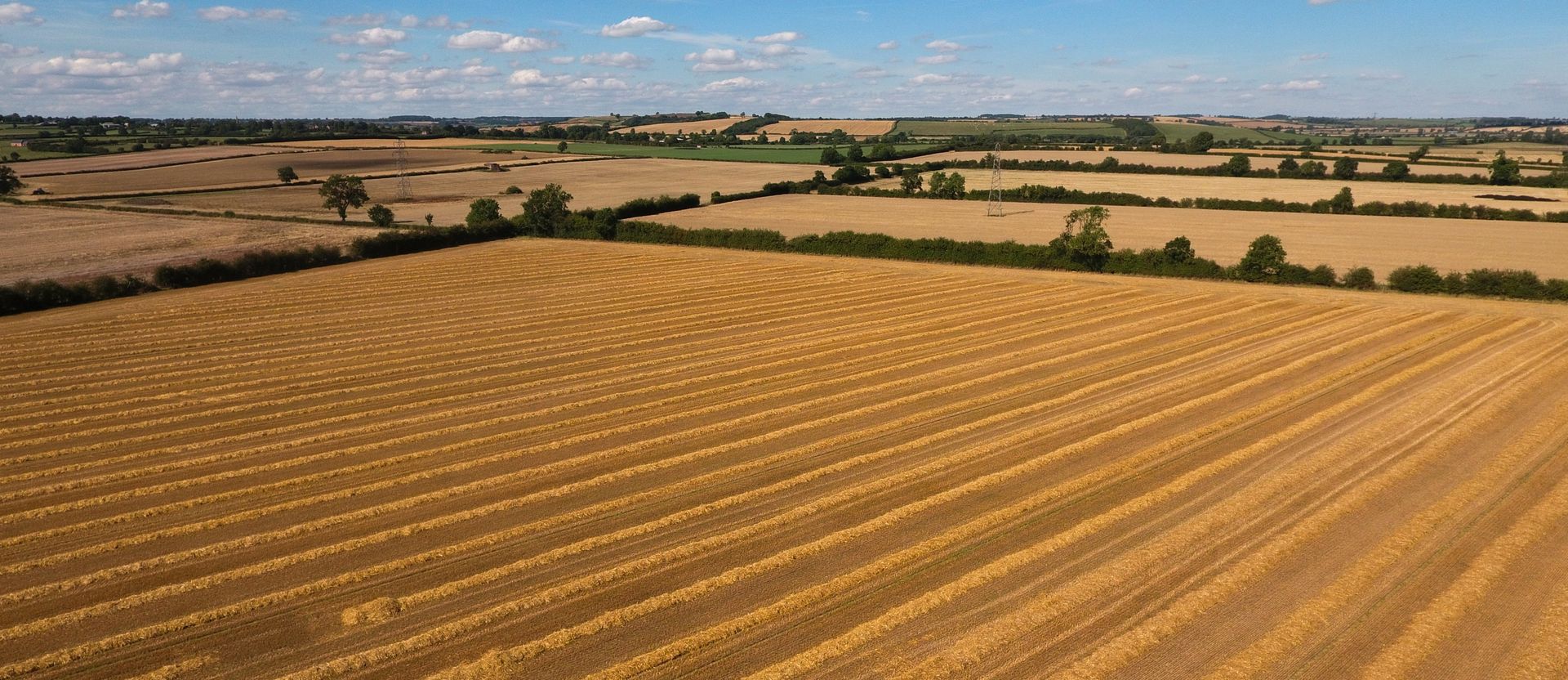 Drone photo - agricultural