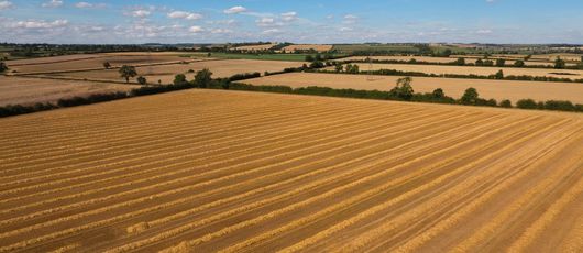 Drone photo - agricultural
