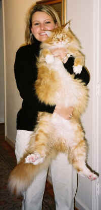 Megacoon Hall of Fame - Riley Megacoon Hall of Fame - Riley