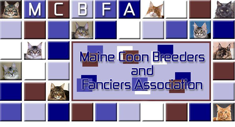 MCBFA - Maine Coon Breeders and Fanciers Association MCBFA - Maine Coon Breeders and Fanciers Association