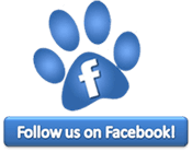 Follow Megacoon on Facebook! Follow Megacoon on Facebook!