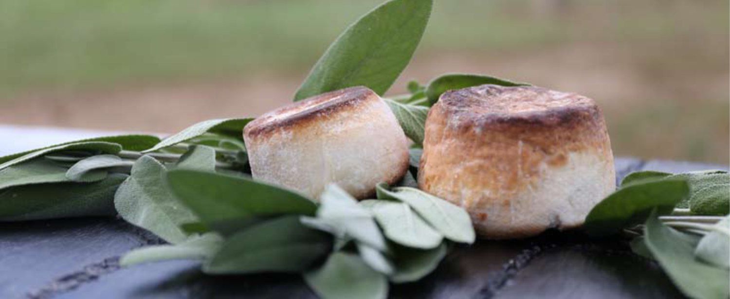 ricotta affumicata
