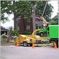 Tree Topping - Tree Service in Ellwood City, PA