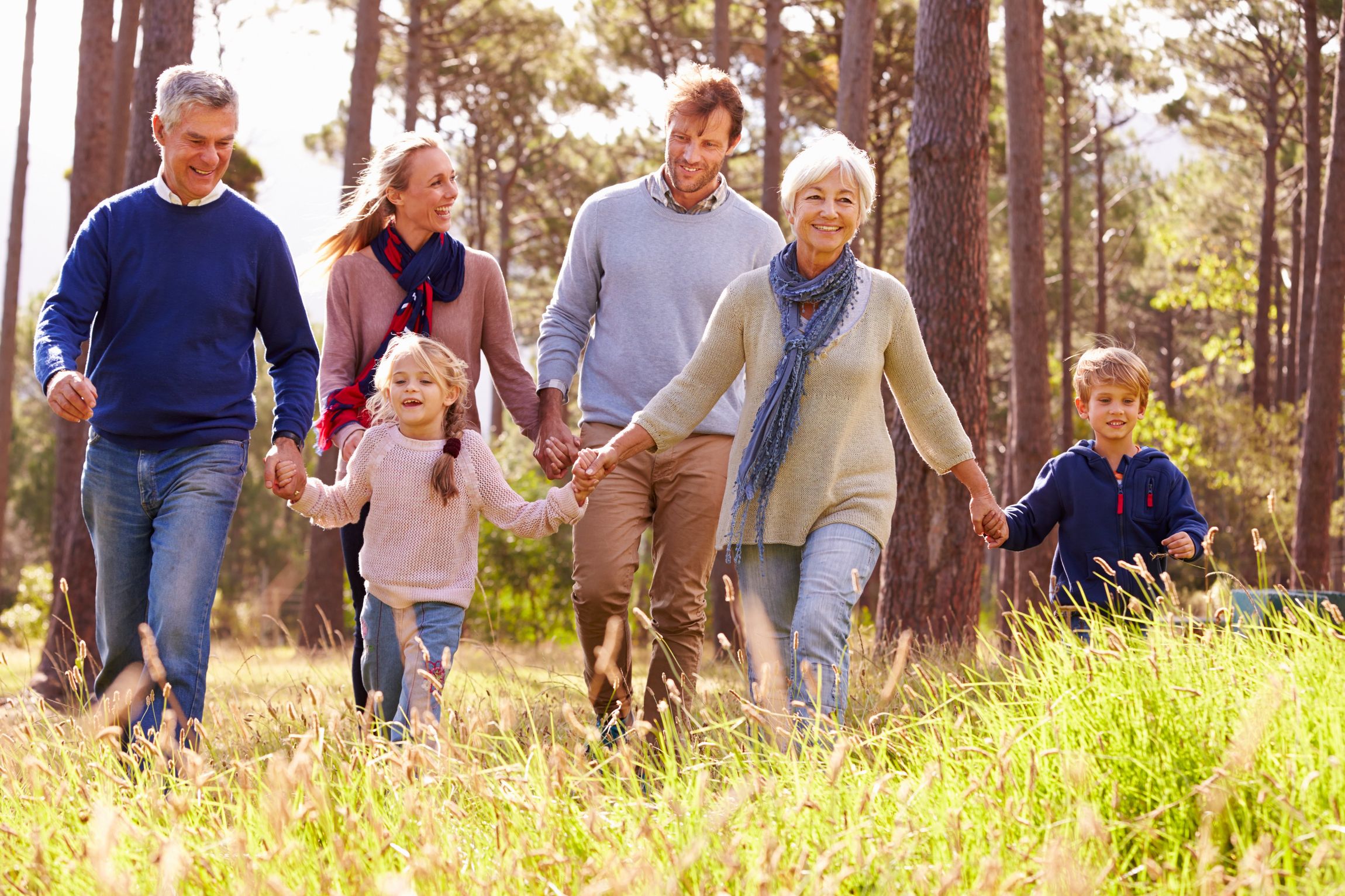 Familie geht Hand in Hand durch einen sonnenbeschienenen Wald.