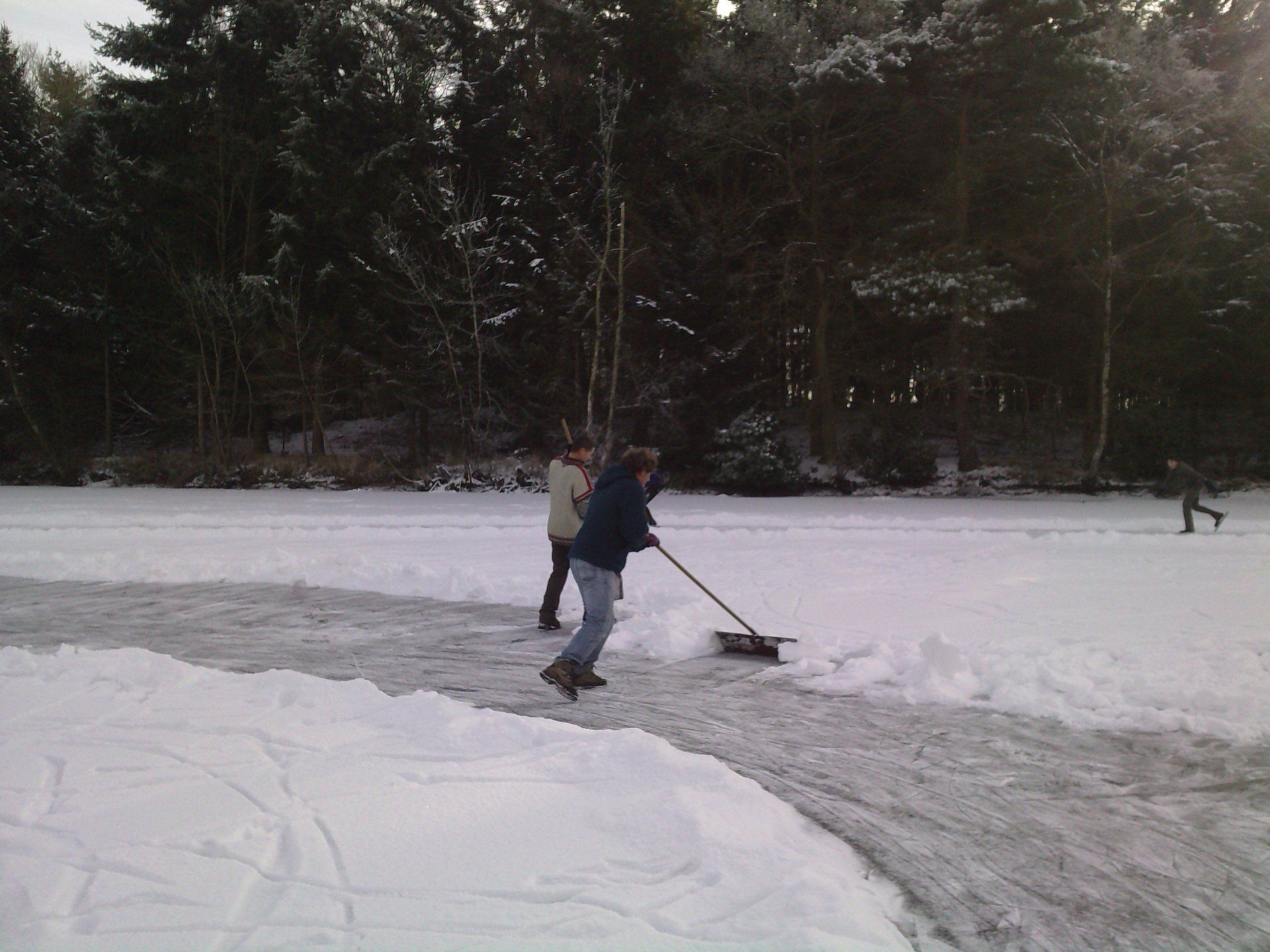 baksven winter , 2009 , bakscheven , tilburg