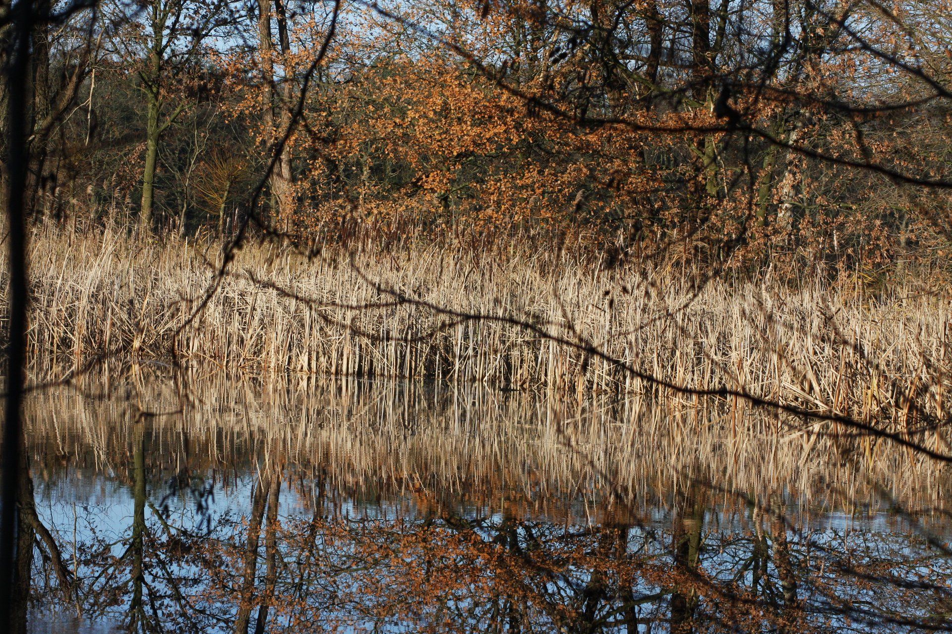 Berkven Tilburg brabant