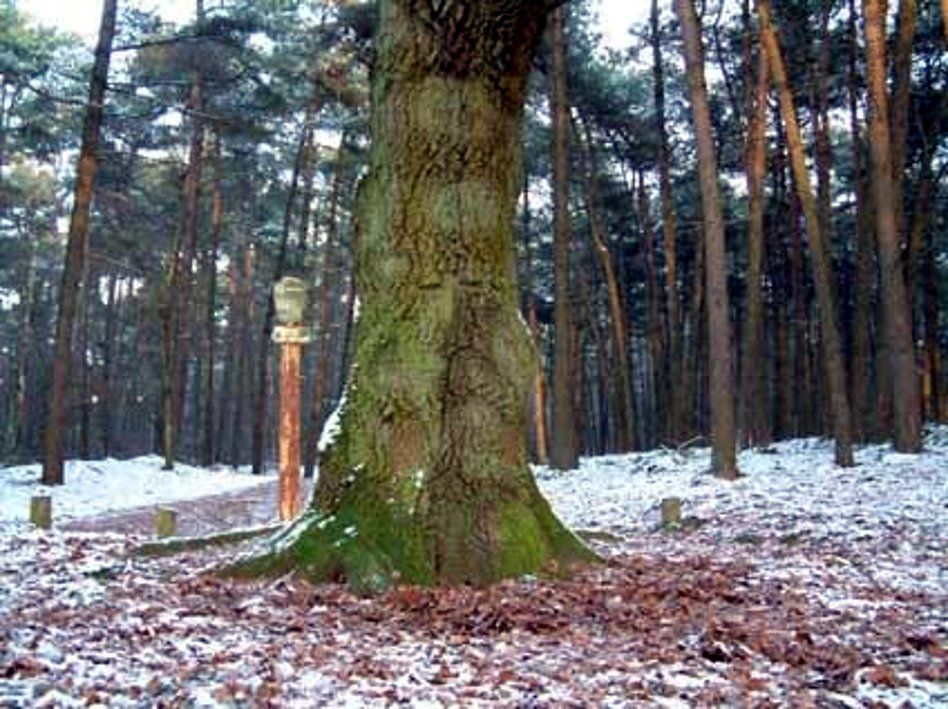 moordboom 1941 tilburg, Annie Remken,